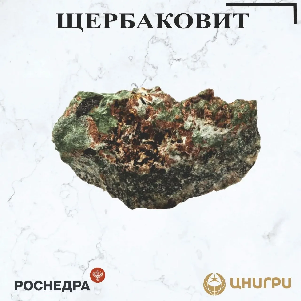 В эту среду ЦНИГРИ ⁉️
