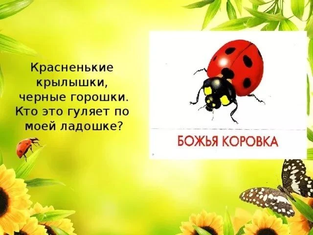 К детям первой младшей группы "Вишенка" прилетала в гости Божья коровка и детишки нарисовали ей друз