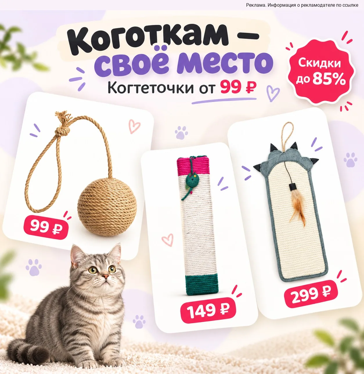 Коту обновка, дивану надежда 😁🐾