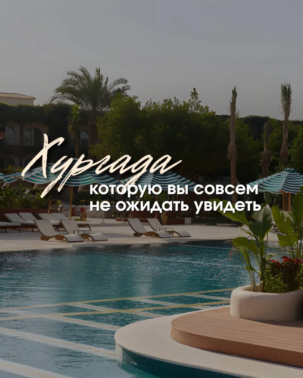#обзор_пост_desert_rose_хургада