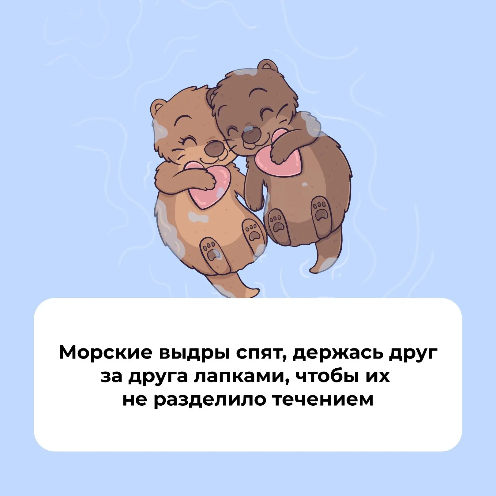 А вы знали, что…