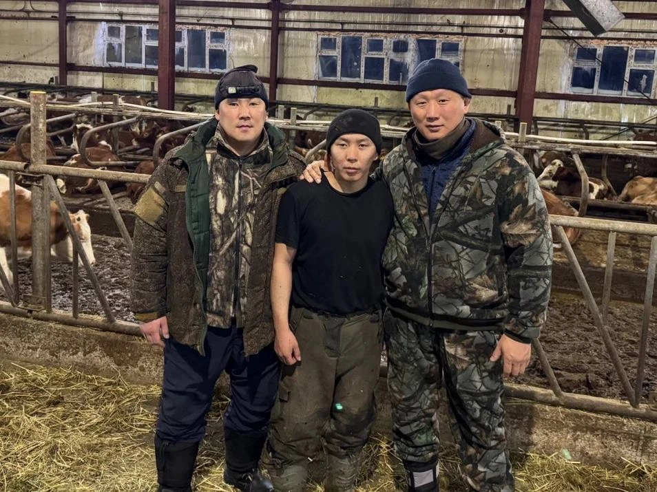 Улууспутугар сэдэх үтүө түгэн!  🔹 Бүгүн «Чүүйэ» хаһаайыстыбабыт хотонугар Вена диэн ааттаах ынахпыт 