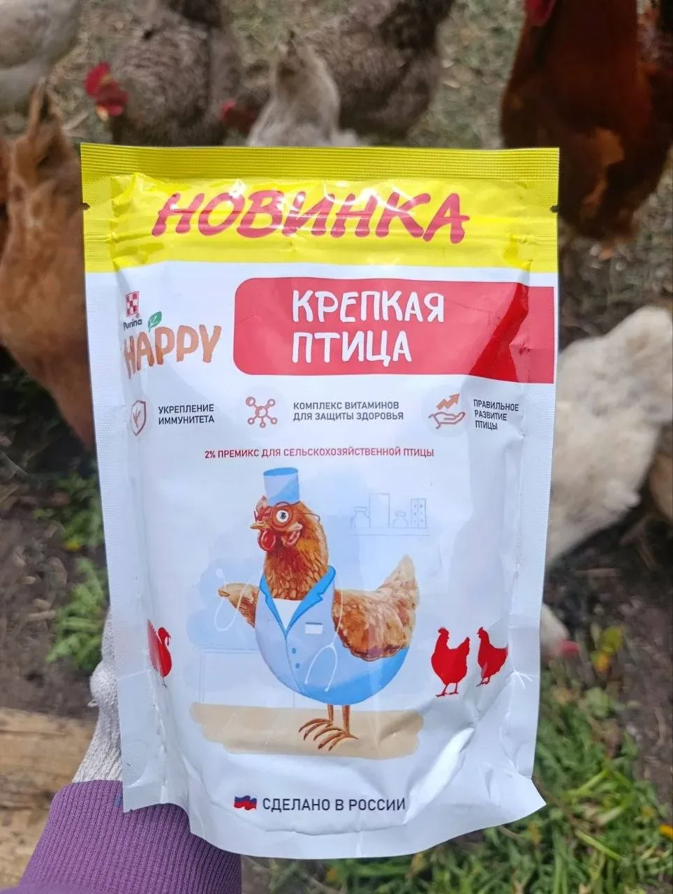 В курятнике порядок навела и курочек своих покормила 🤗  Обязательно добавляю в привычный для них кор