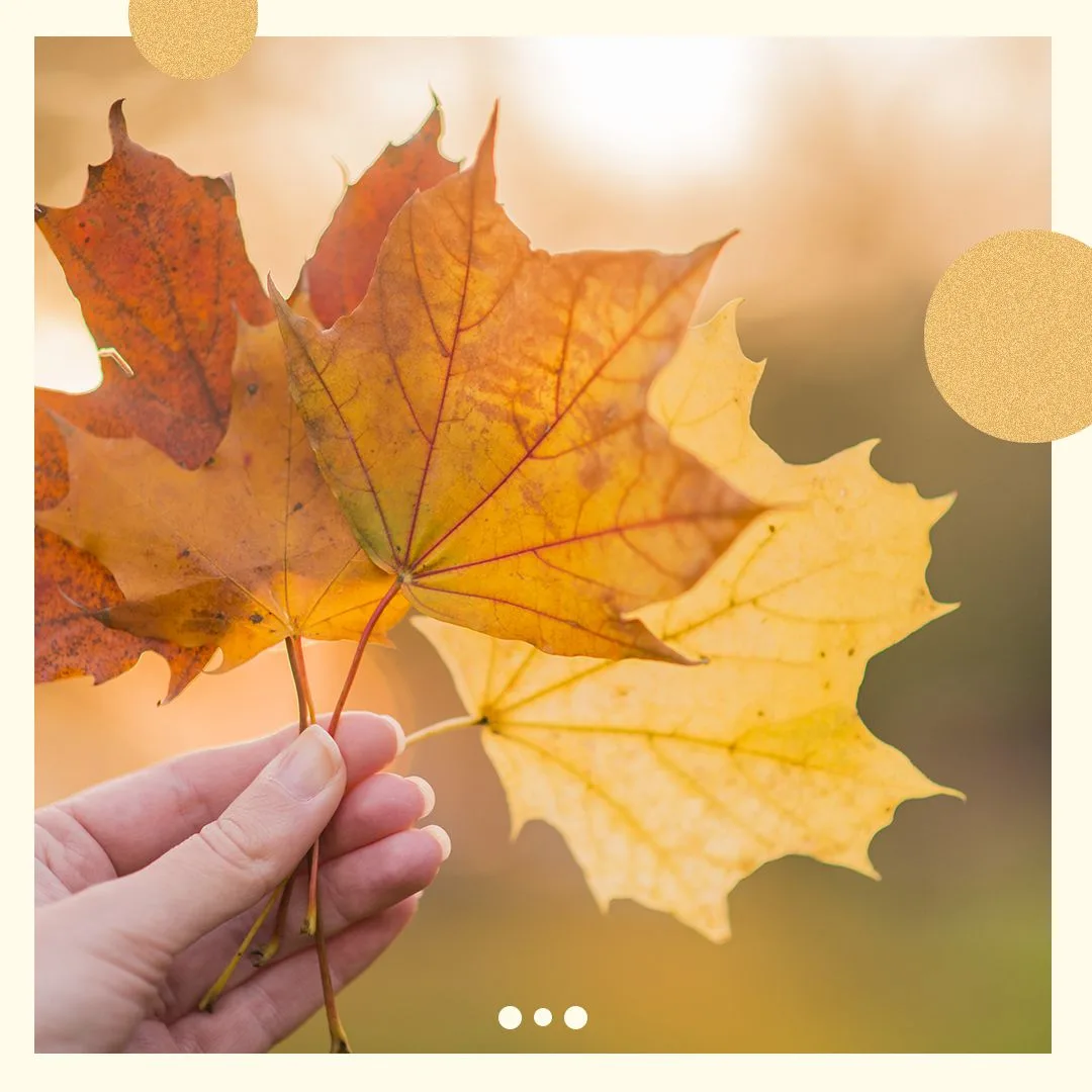 Время подвести итоги сентября 🍂📝