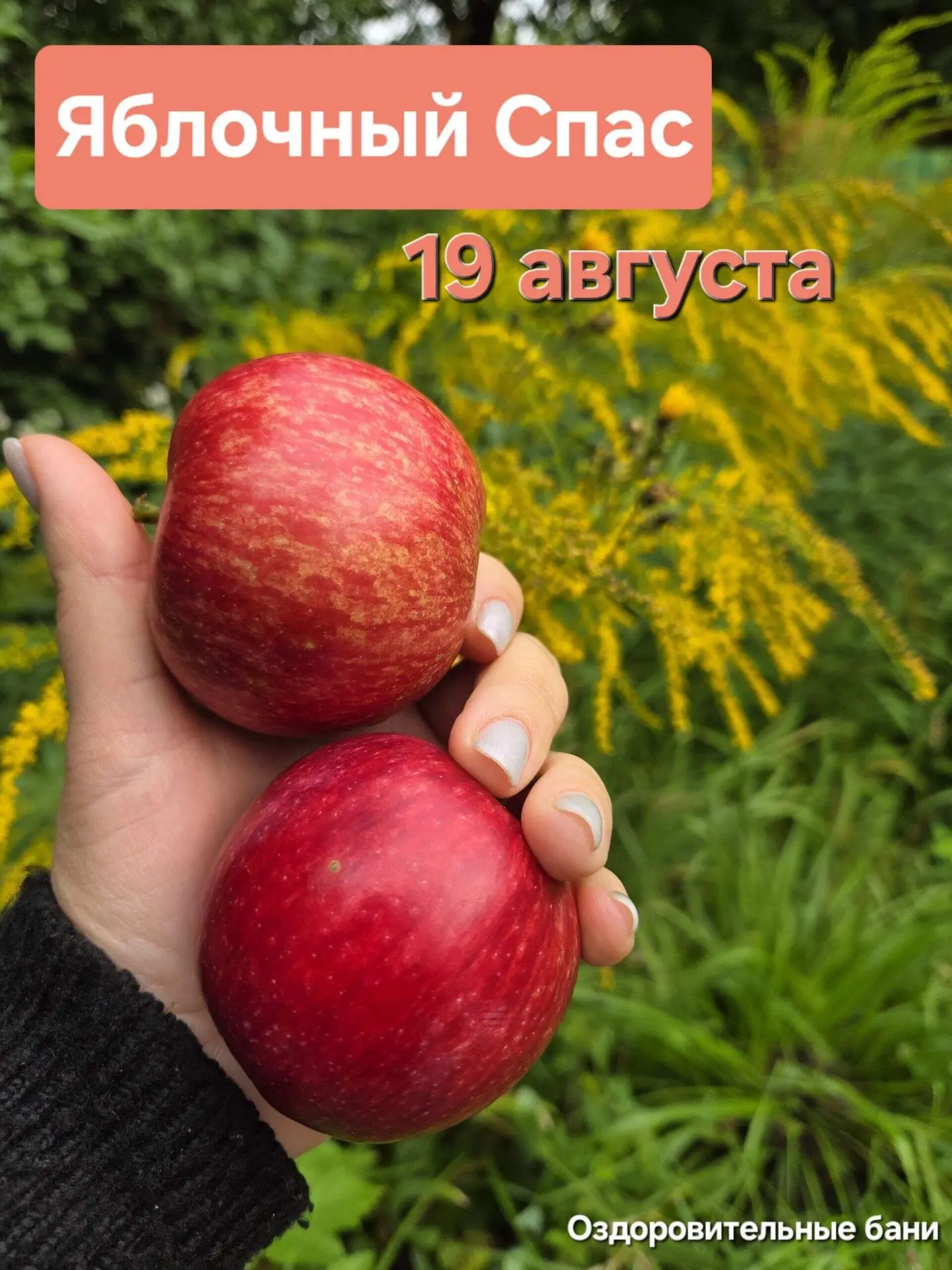 19 августа - Яблочный Спас