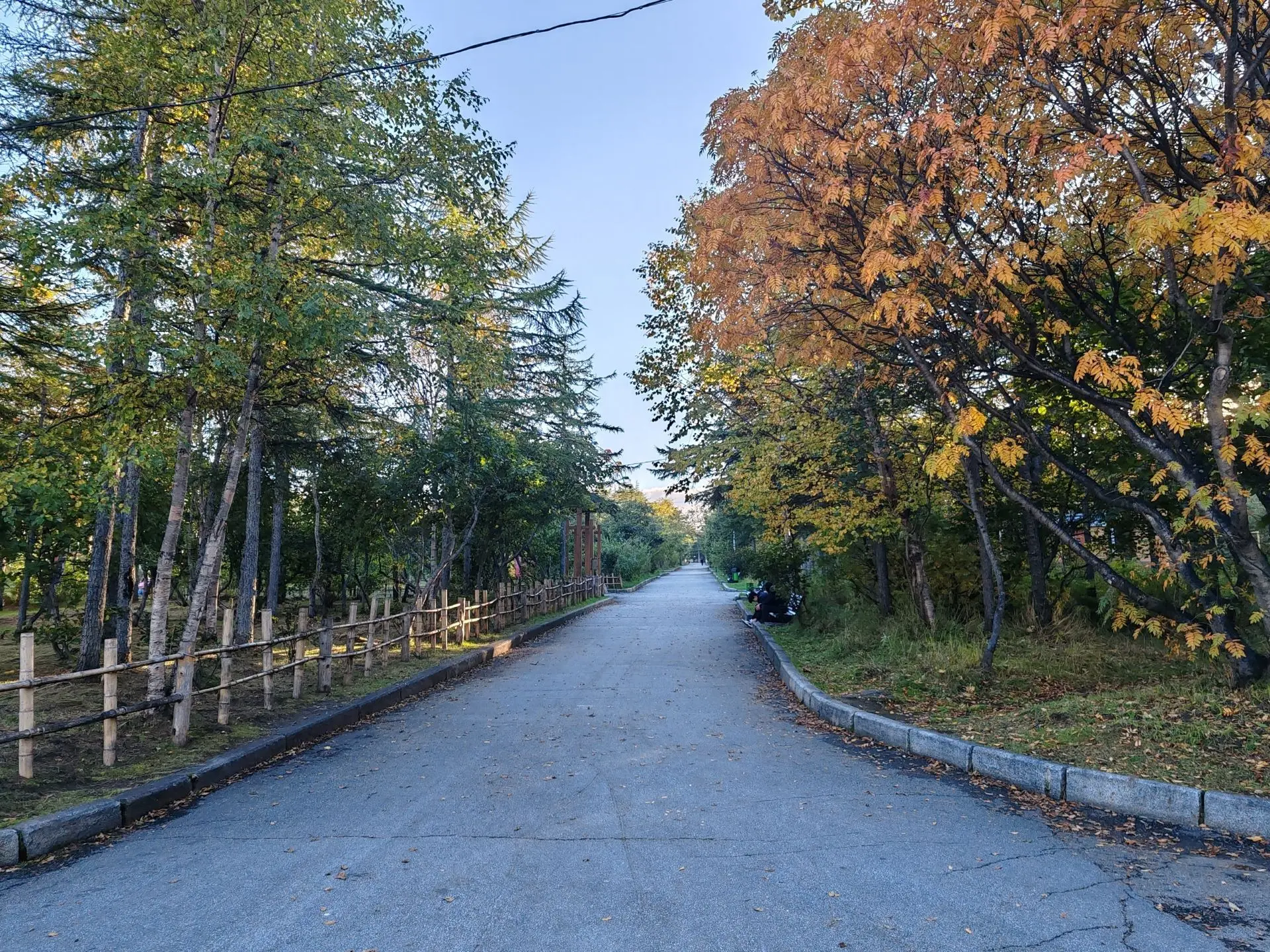 🍂 Осень в объективе