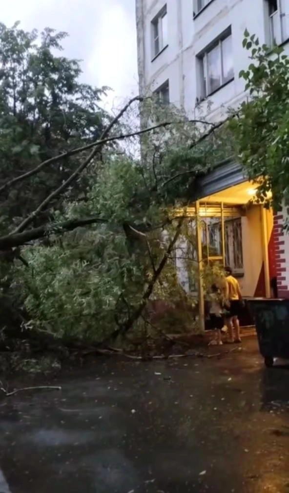 «Упало дерево на Главной 11/1, вырвало с корнем. Слышно было на ближайшие подъезды. Проезд перекрыт.