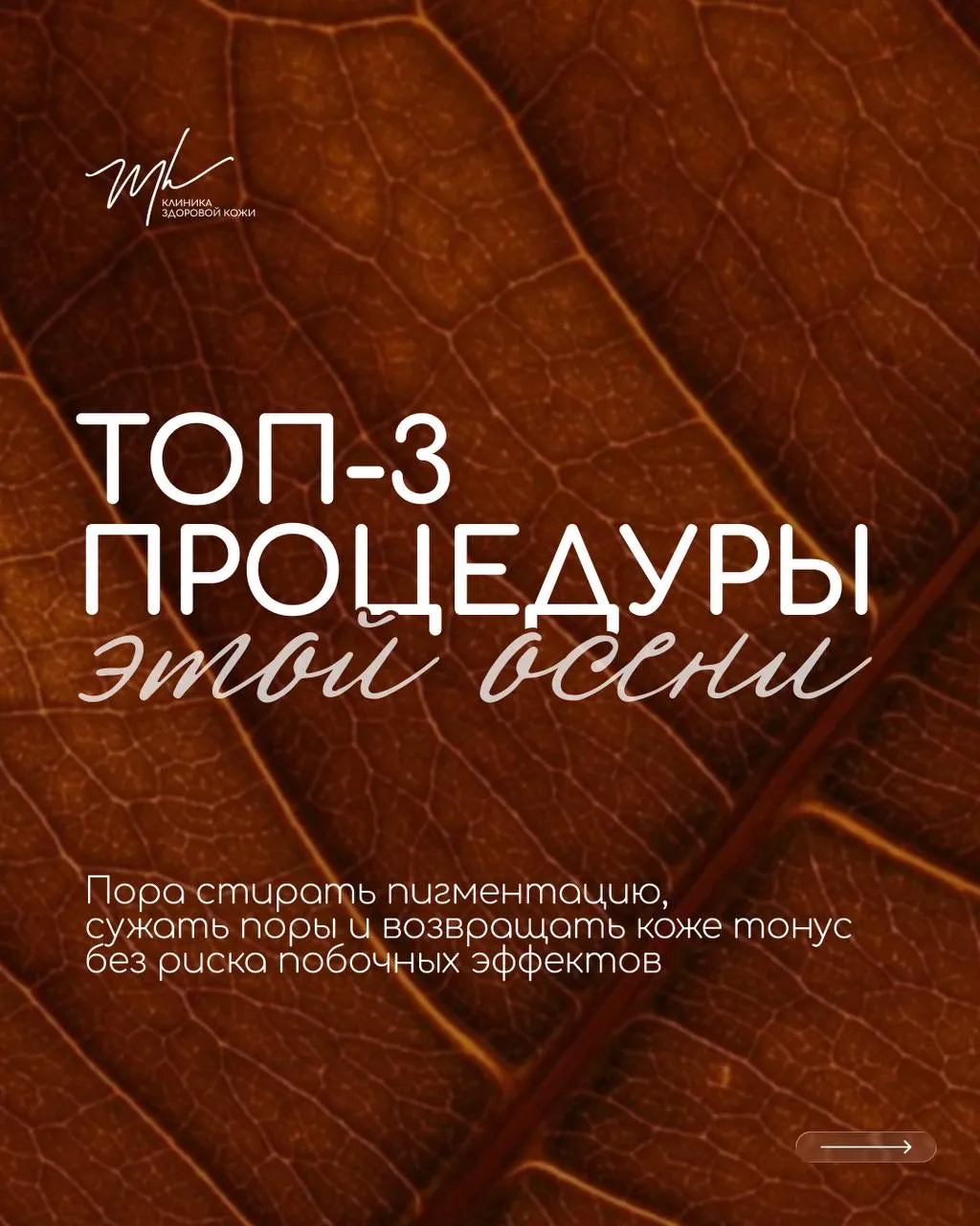 Время пришло! 🍁