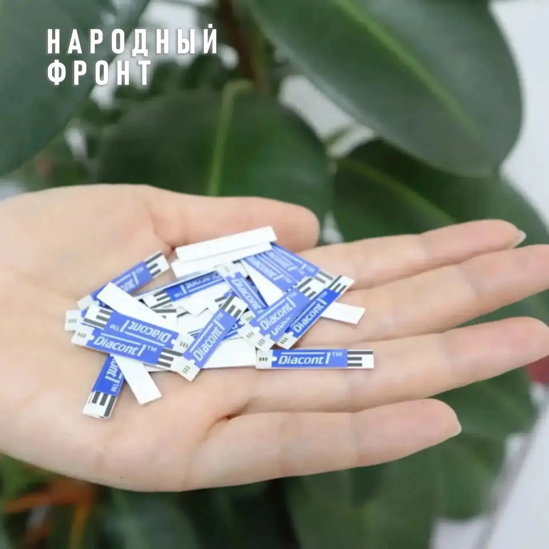 Народный фронт помог чепчанину получить инсулин и тест-полоски 
 
К нам в Народный фронт обратился м