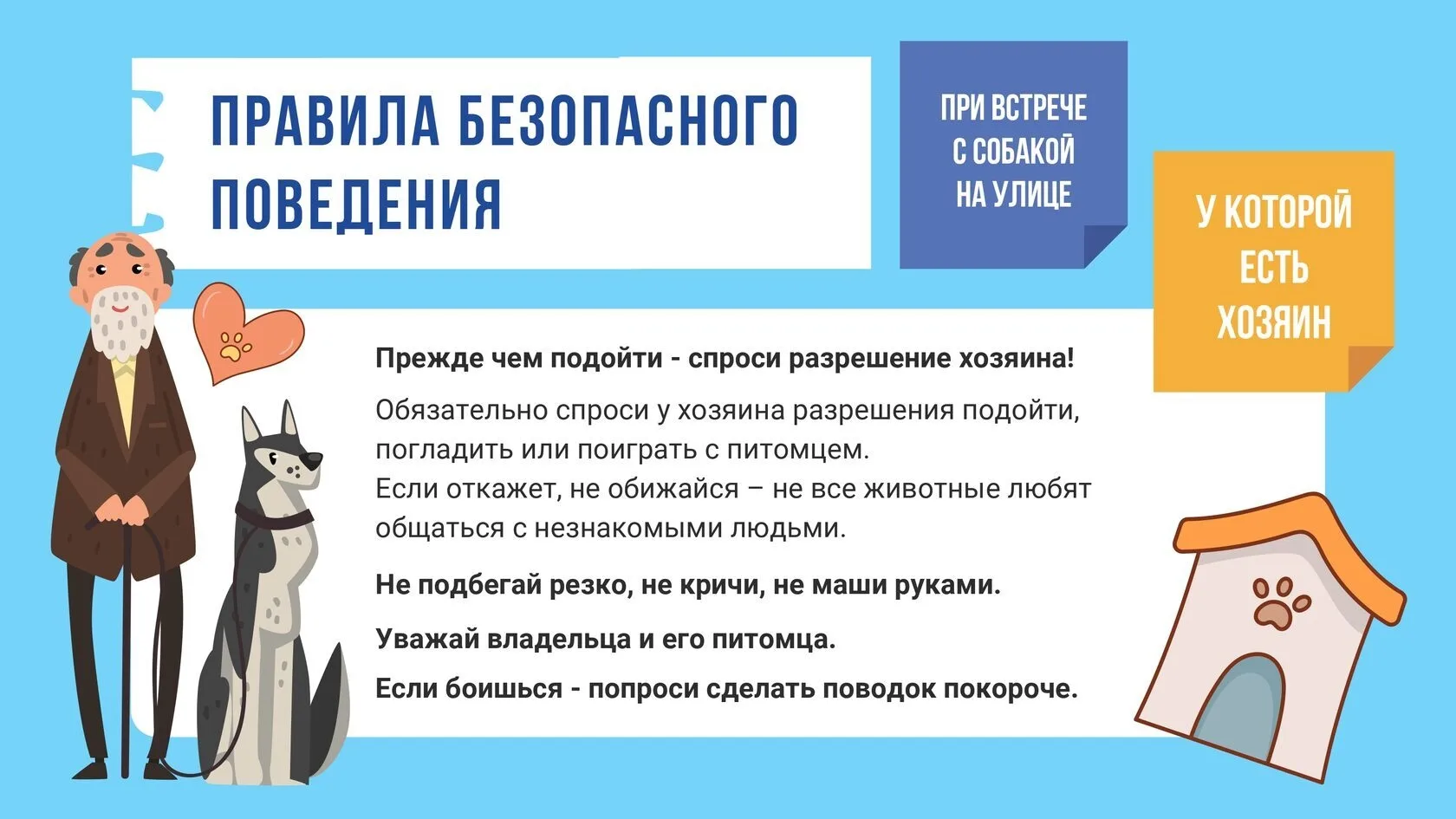 Памятка для детей о правилах безопасного поведения с животными