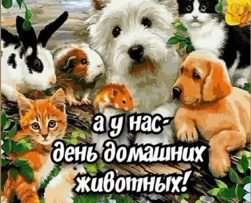 В 5 группе,под руководством Сергеевой Л.А.,прошел «День домашних животных»— это не отде...