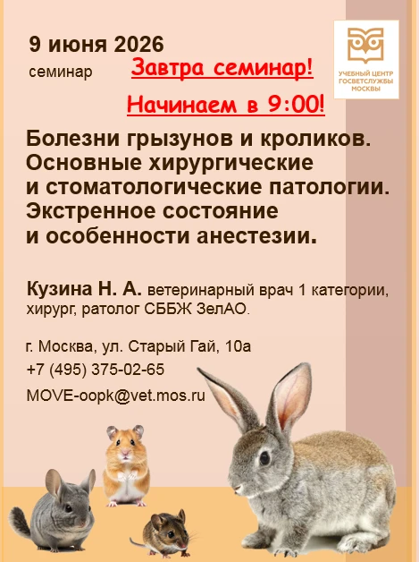 🛑 Уважаемые коллеги!