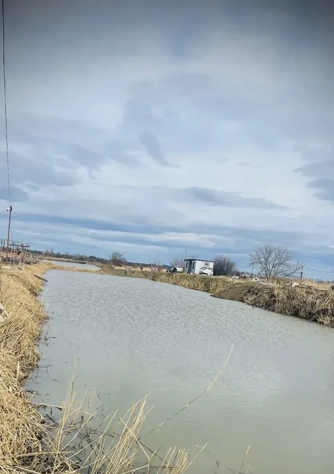 14 февраля Елизаветинские пруды, карповый водоем Приехали в обед - уехали около 16:00. На бондюэль и