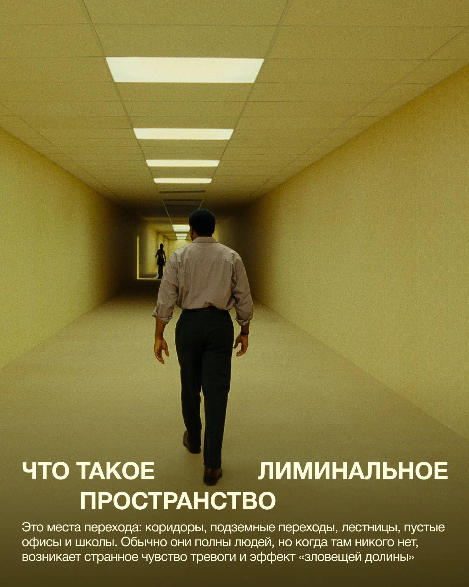 «Закулисье реальности» — новый хоррор от A24 уже в «Авроре»