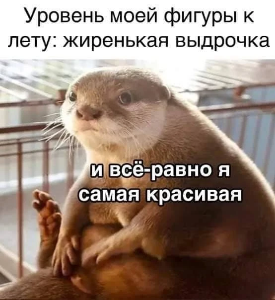 Куколка
