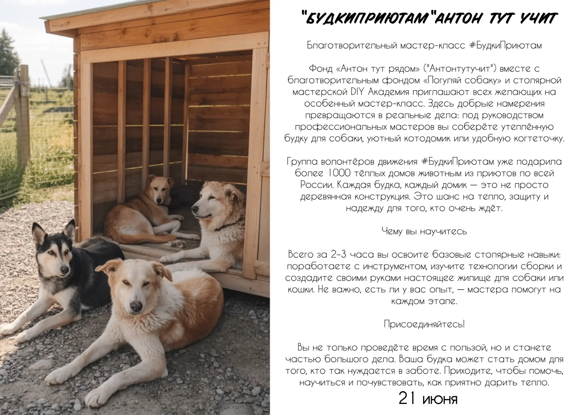 Афиша мероприятий. Что стоит посетить на выходных.

Солнце, тёплый ветер, белые ночи и море фестивал
