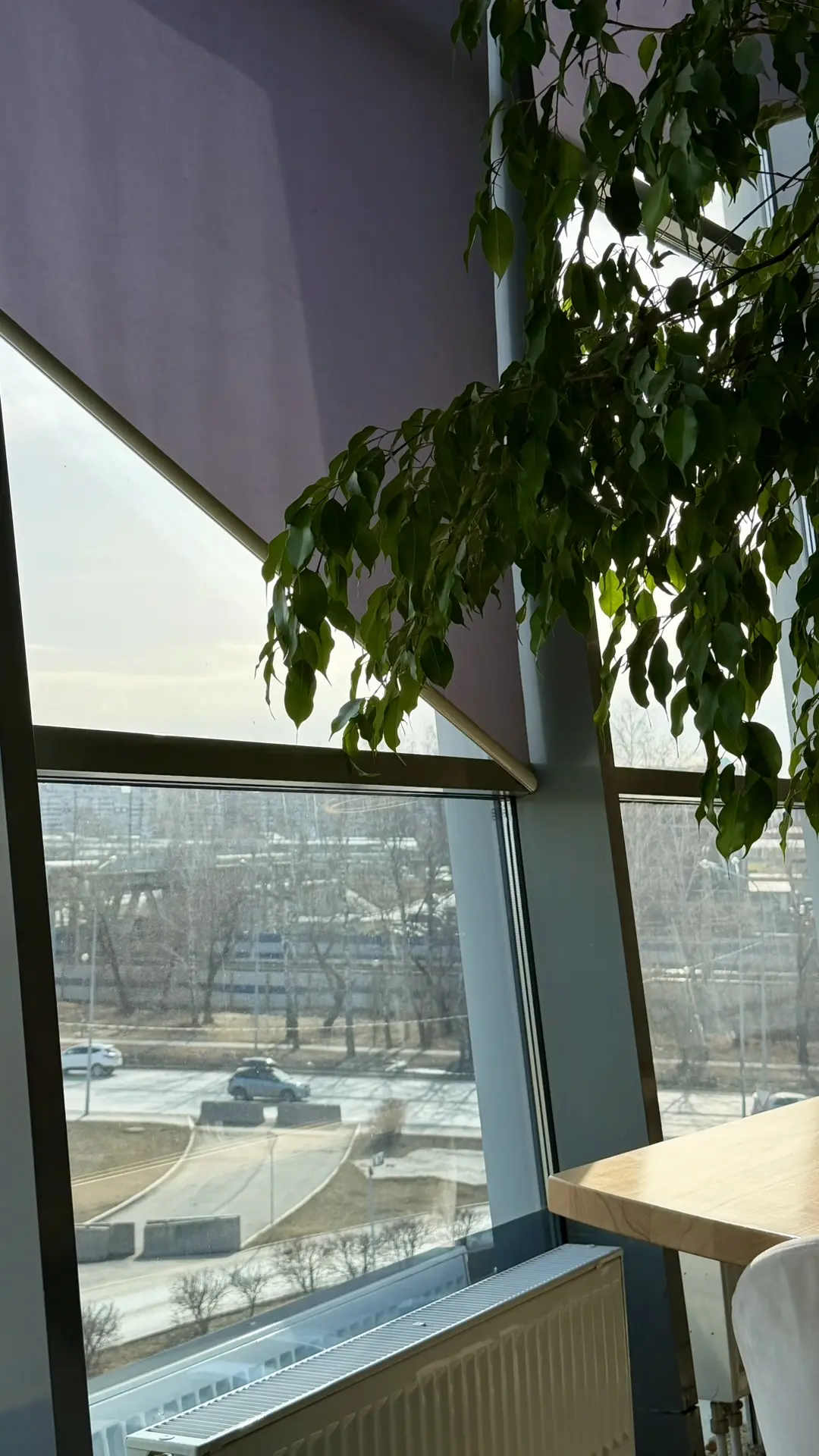 🍃а из нашего окна теплая весна видна 😍