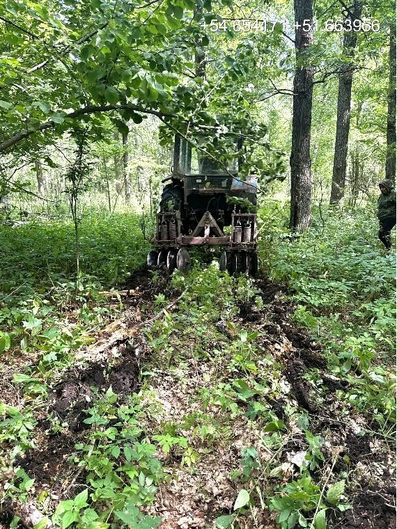 🌿 В Шешминском участковом лесничестве проводится агроуход за лесными культурами 2025 г...