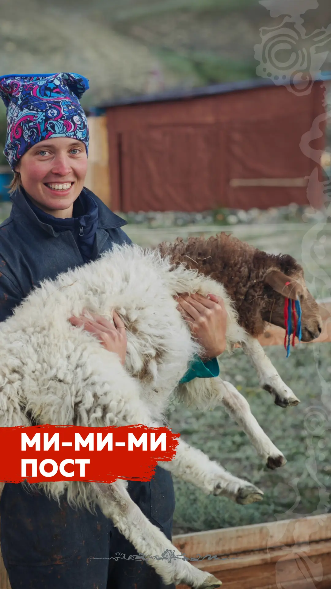 КОНЦЕНТРАЦИЯ МИЛОТЫ НА КВАДРАТНЫЙ МЕТР 🐰✨