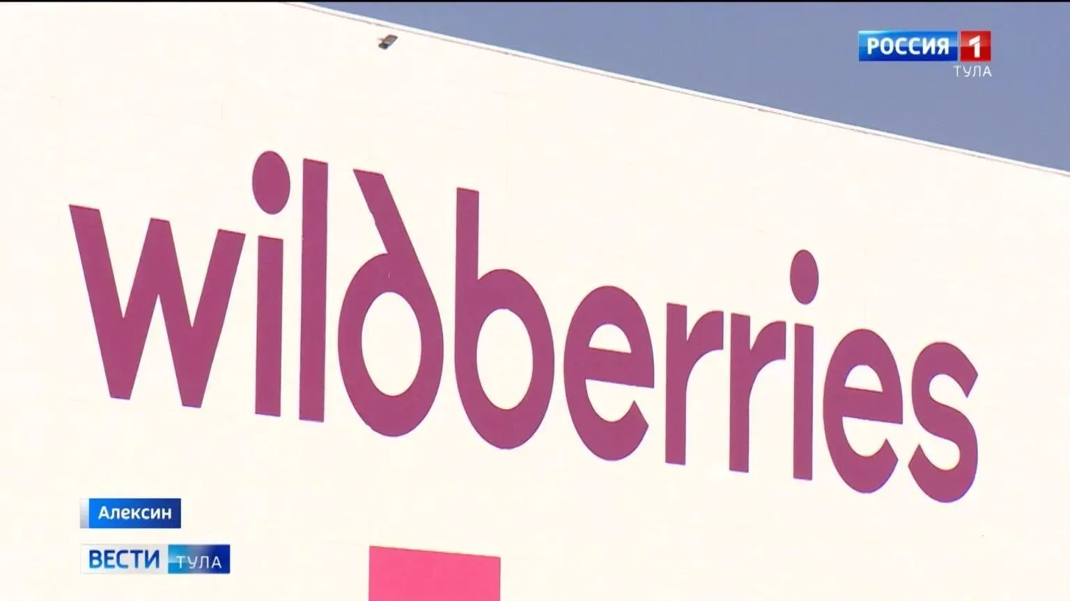 Тульское правительство поддержит потерявших работу сотрудников Wildberries и пострадавших после атак