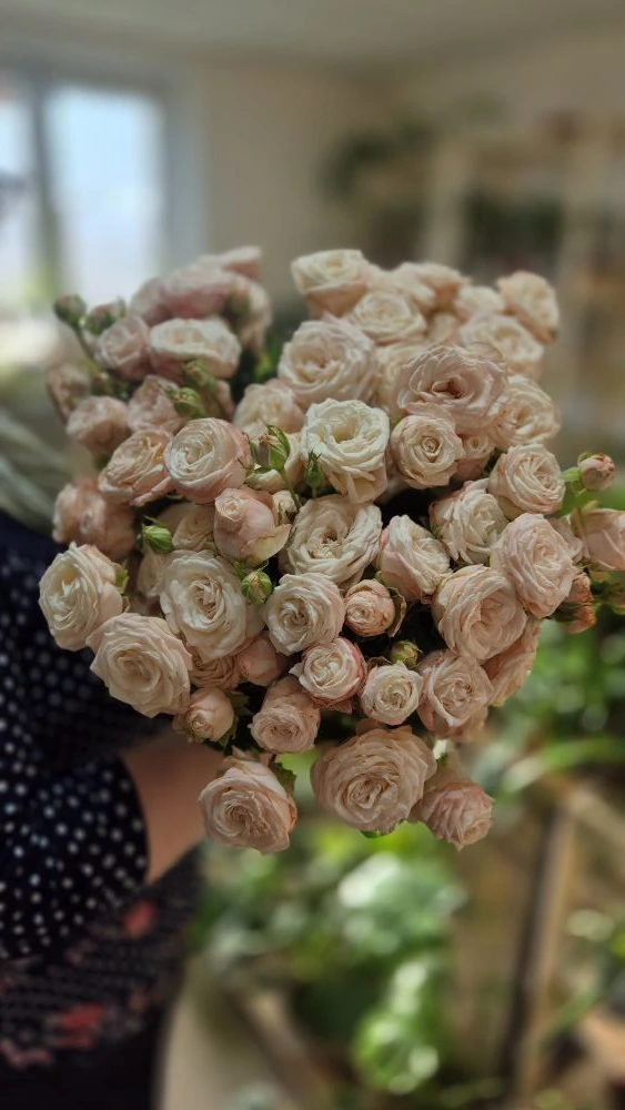 Получили свежую поставку 💐
📍Долгодеревенское, ул. Свердловская, 2а (пятиэтажка)
🚀 Доставка