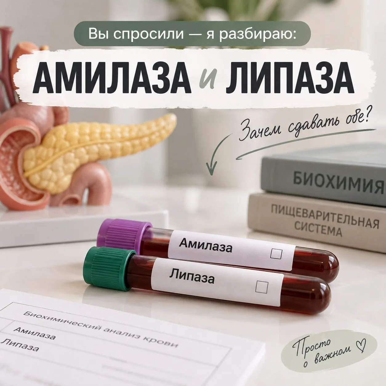 🔬 Амилаза и липаза — что это вообще такое?