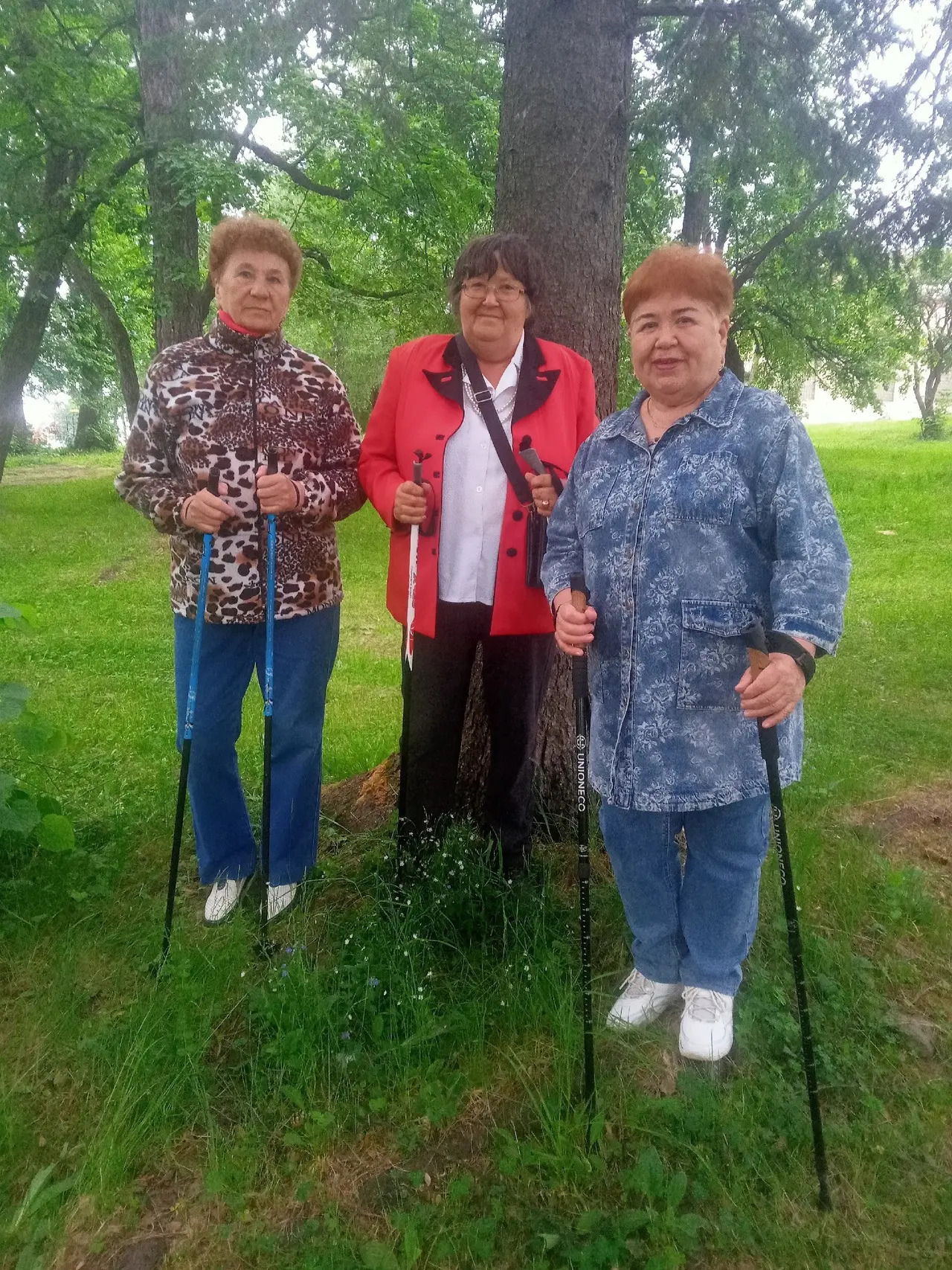 Сегодня ⛅ с самого утра небо хмурилось и грозило ливнем. Но разве пасмурный день — пово...