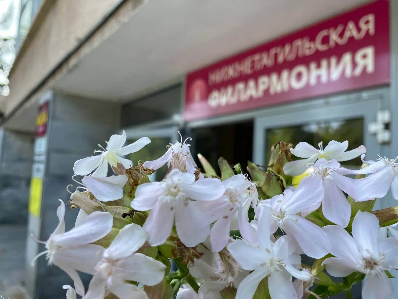 29 июля касса вновь начинает свою работу, ждём слушателей в филармонии!