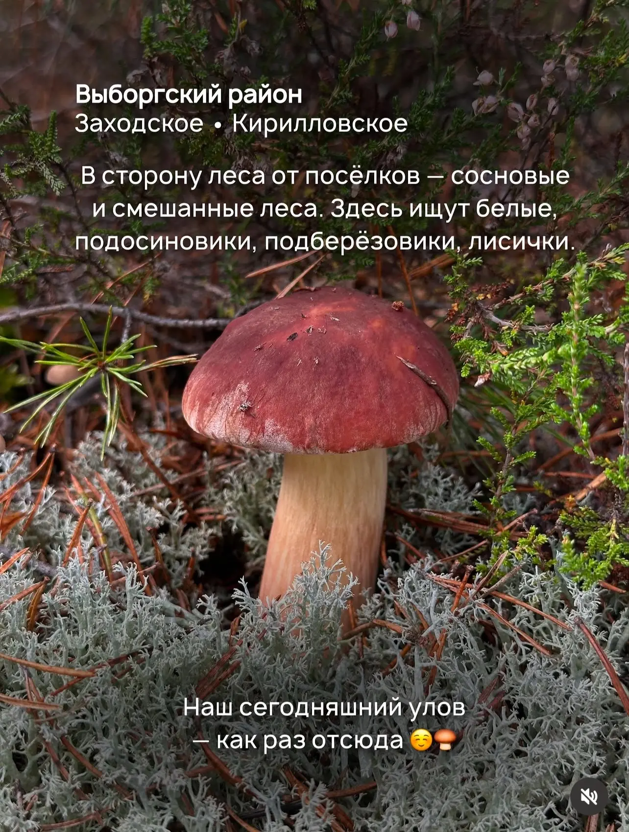 Вот по этим точкам мы постоянно гоняем. Но людей, как на Невском! Ехать в идеале в будн...