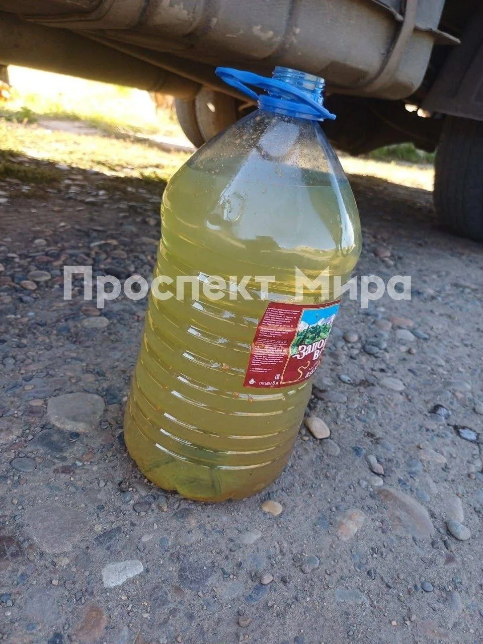 😡 Красноярец набрал бензин на АЗС и обнаружил на дне сантиметровый осадок