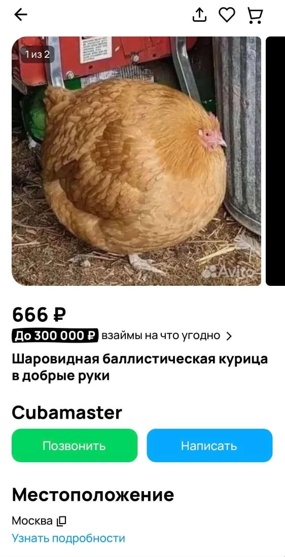 Пятничный юморной контент