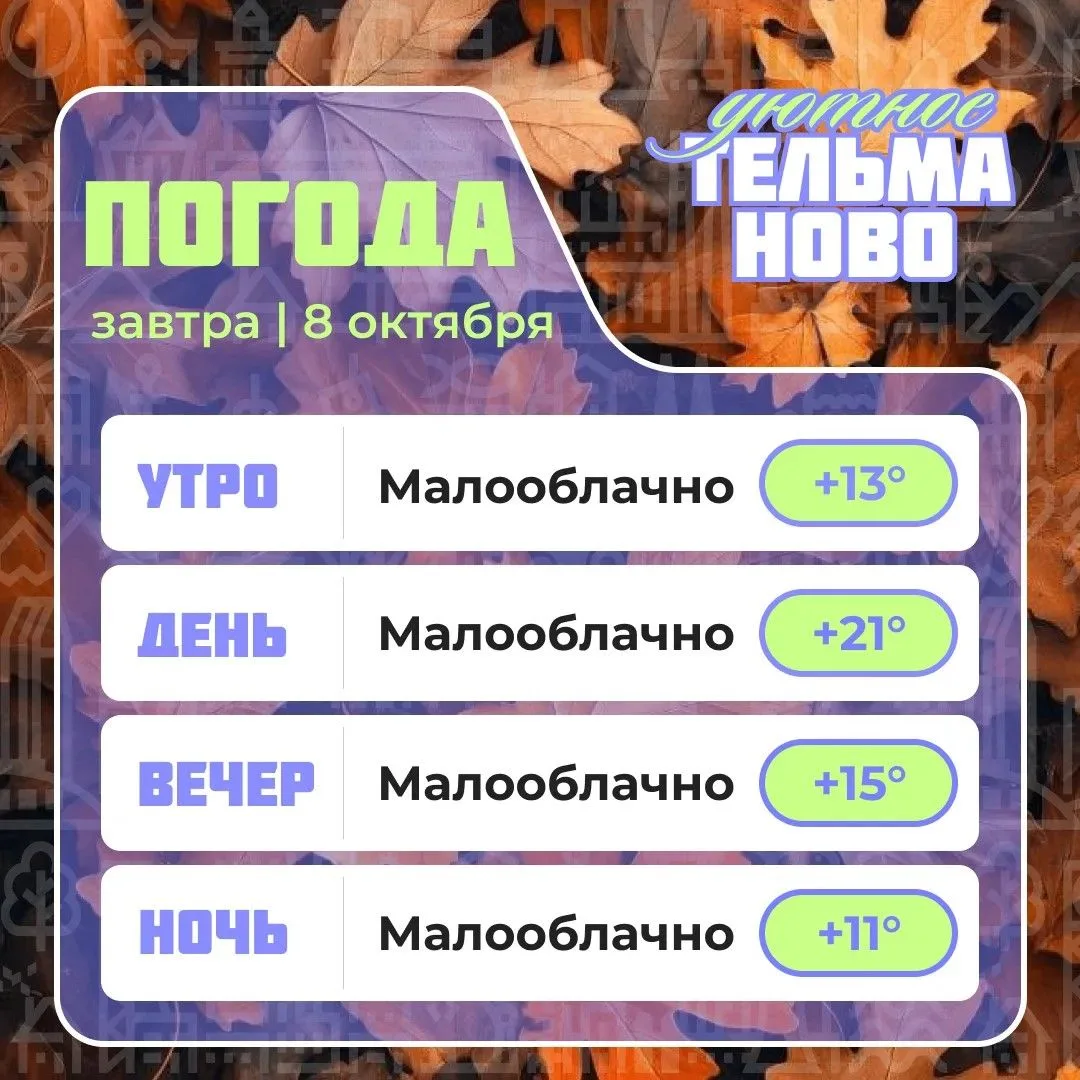 Ваш гид по погоде на завтра🌡