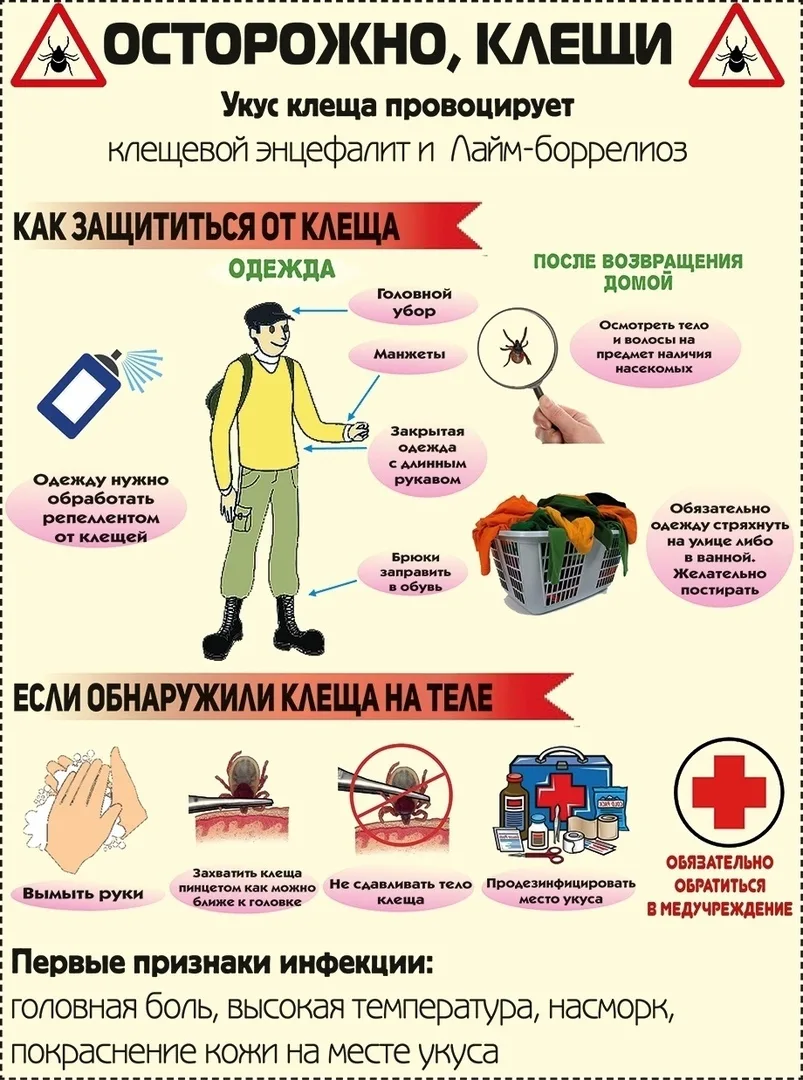 Осторожно, клещи!