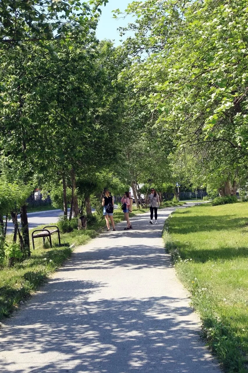 Сегодня День разговоров с городом