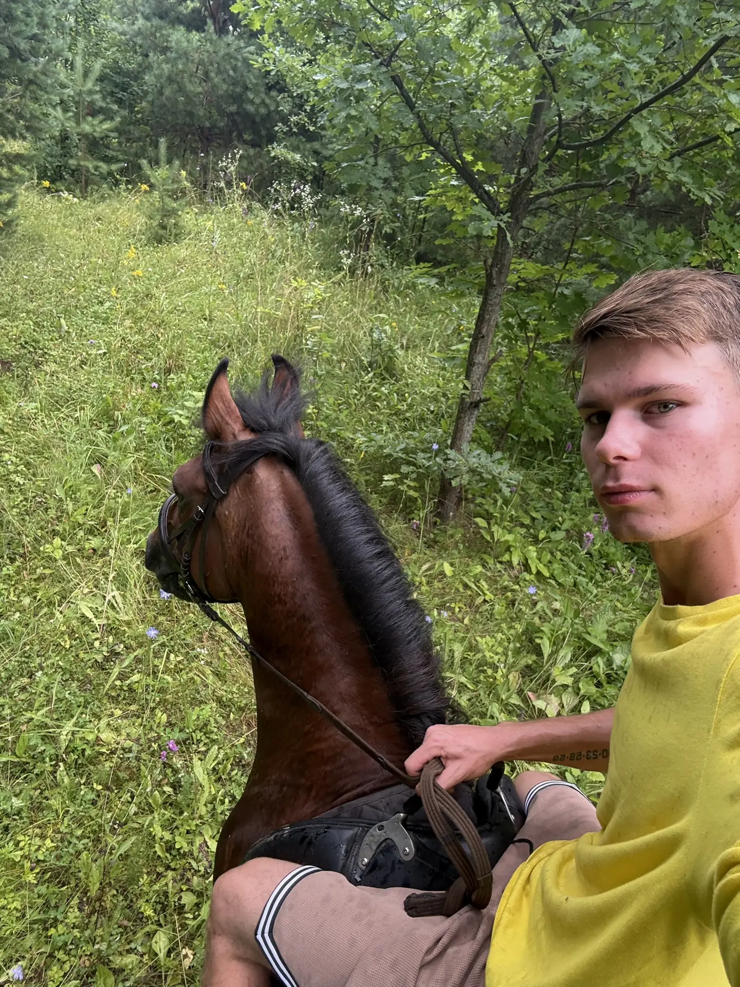 Ищем коз 🥺 😢

Сам виноват, как можно было доверится козам …