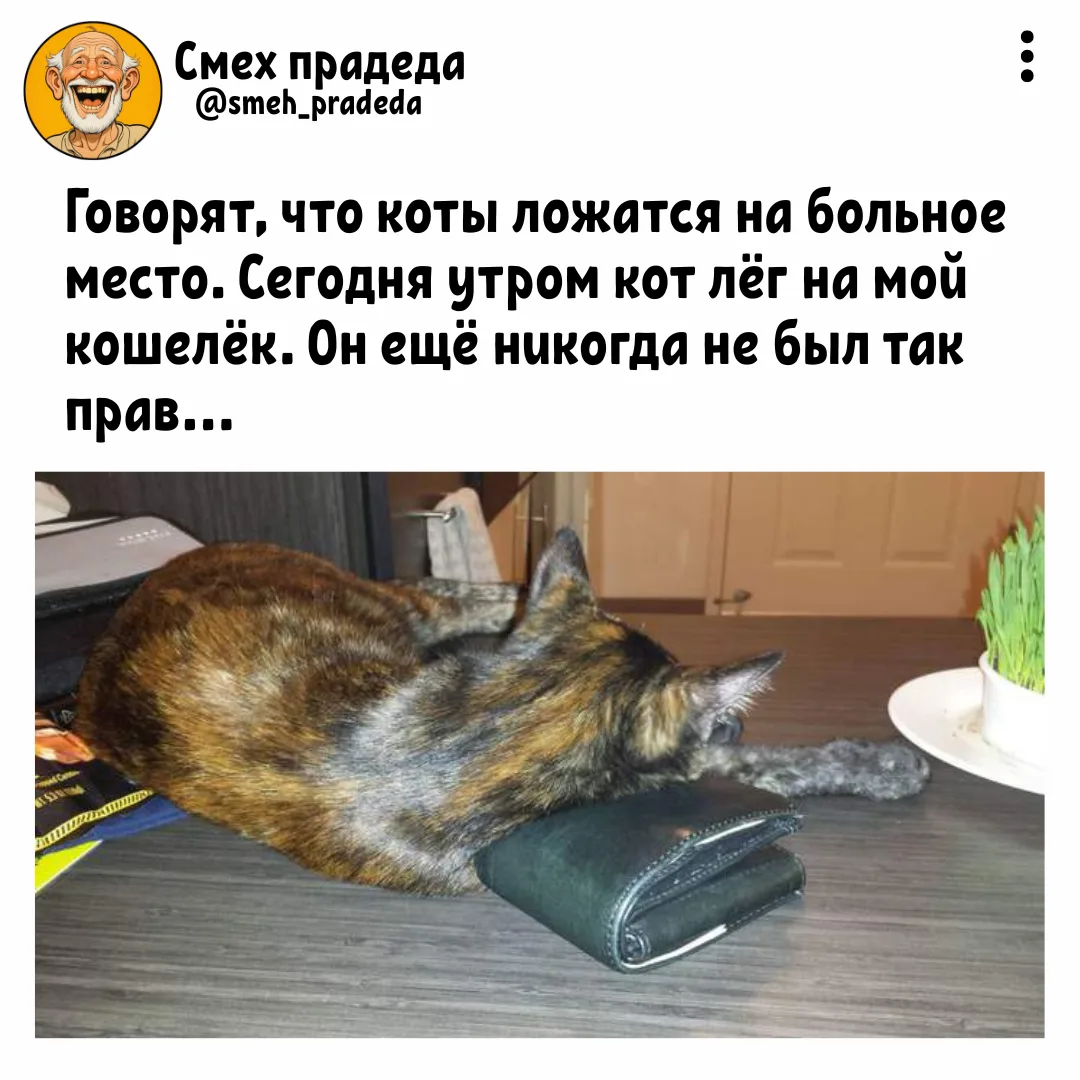➠Смех прадеда