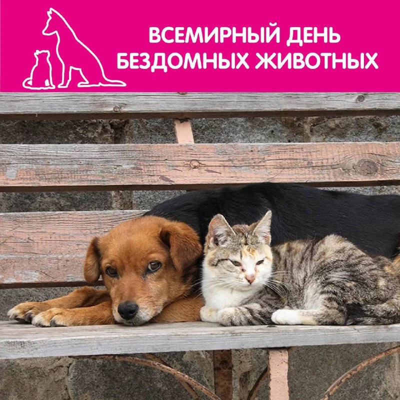 🐾🐾🐾 Давайте задумаемся о тех, кто не может защитить себя. Возможно, один добрый взгл...