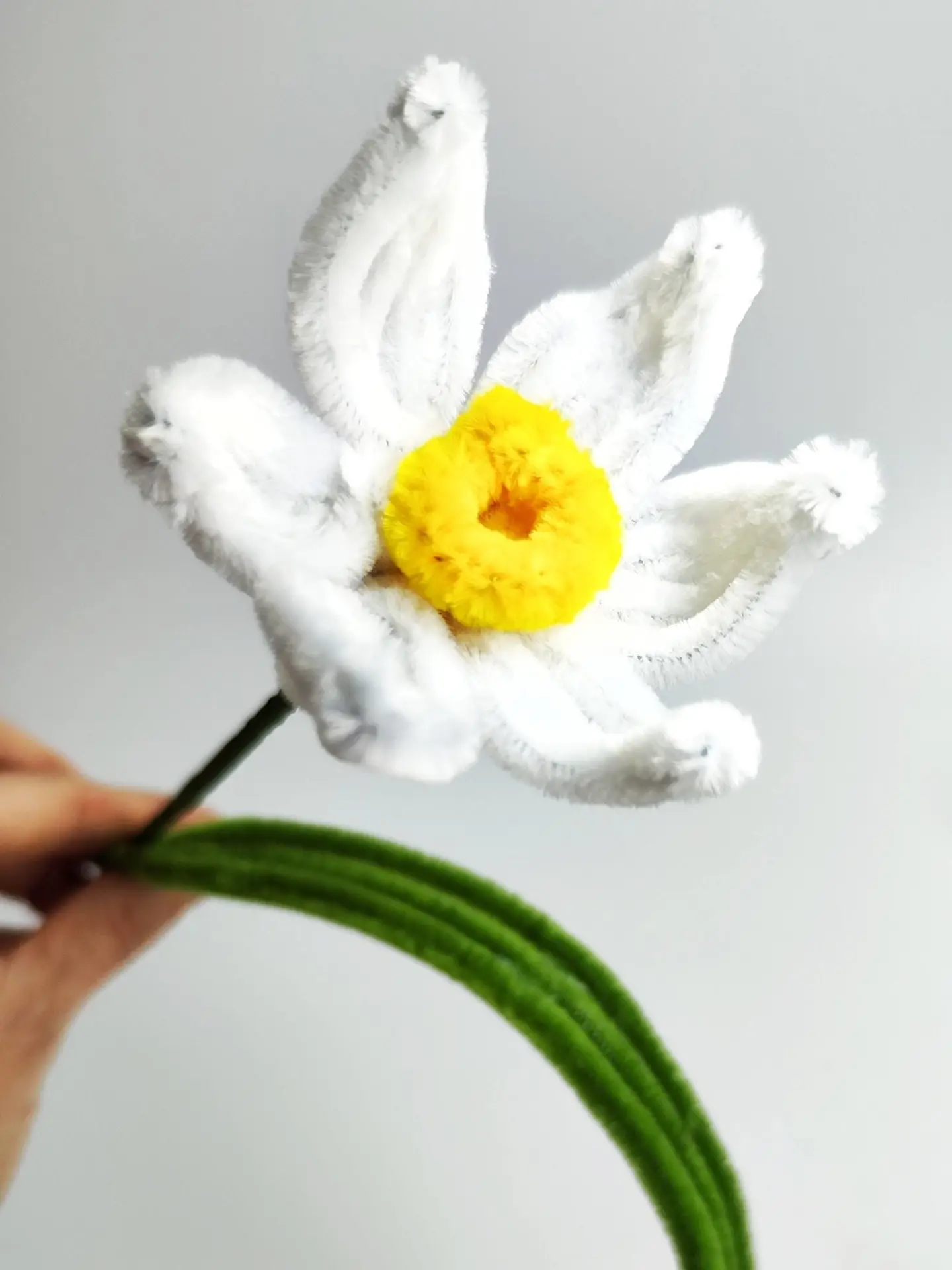 Нарциссы🌼  Я в восторге! В восторге от ощущения, что скоро весна, что скоро будет пахнуть цветами и 