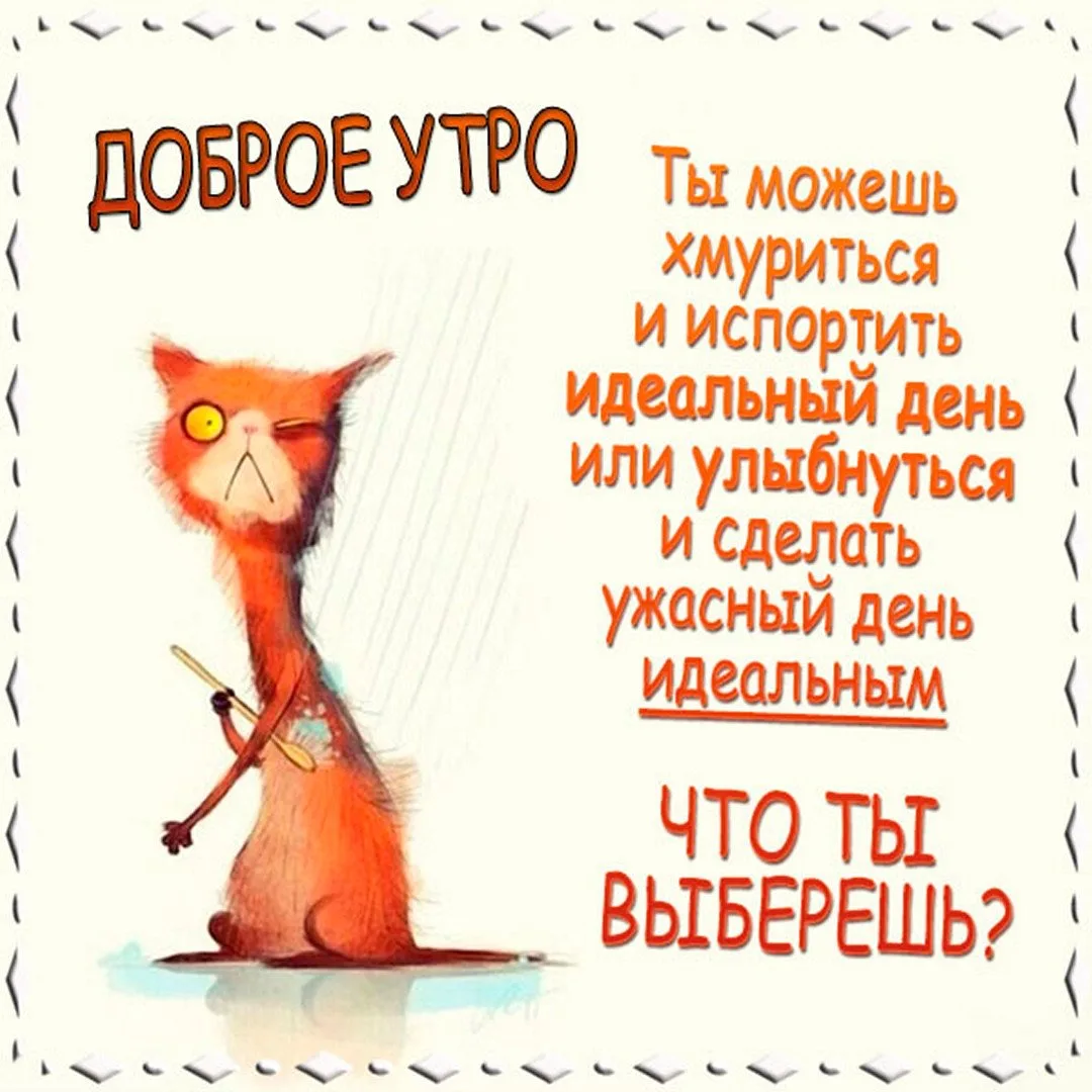 Список качественных каналов в МАХ | Подпишись!❤️