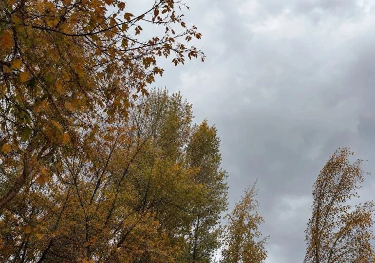 💨 В Самарской области прогнозируют усиление юго-западного, западного ветра