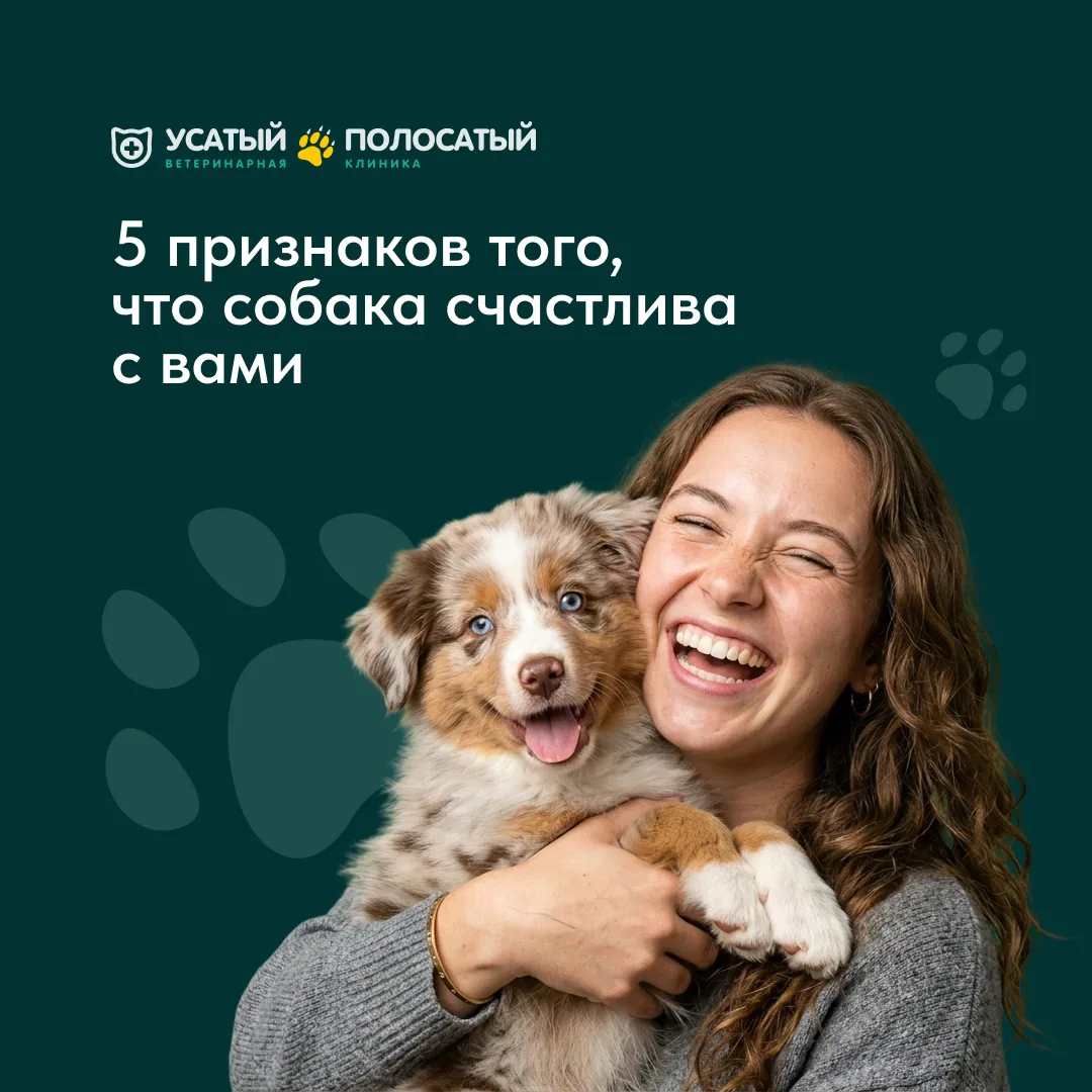 1. Если собака смотрит расслабленно и слегка прищуривается — это высшая степень доверия...
