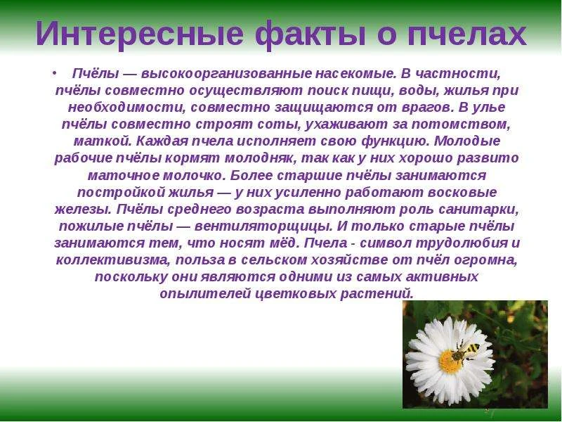 Интересные факты о дикой природе. А Вы знали?