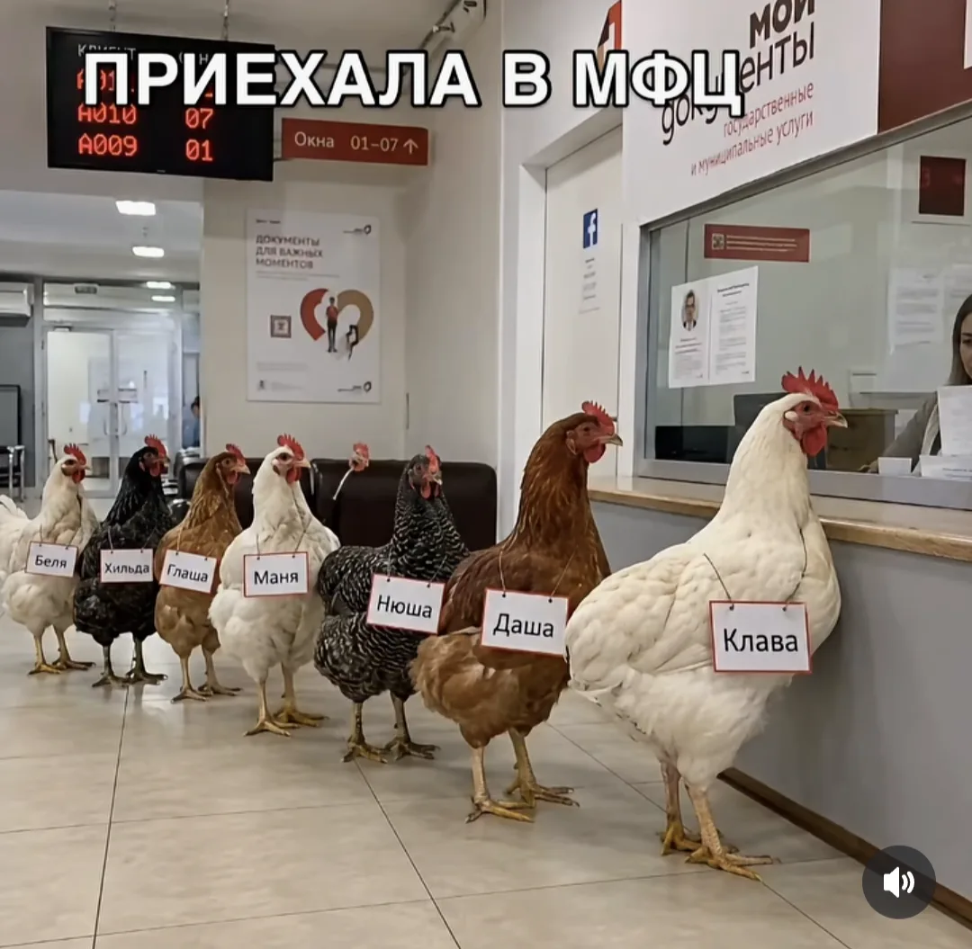 Теманың дәвамы😊