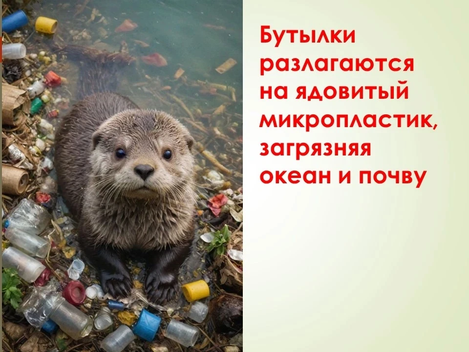 Давайте будем беречь планету,                                                                       