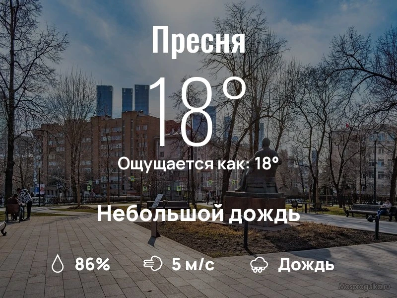 Что с погодой в Пресненском?