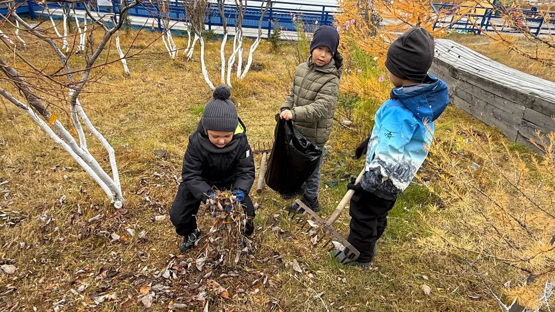 ☀️ Теплое дело в холодном краю: дети на уборке территории 🍁