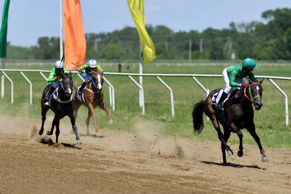 🐎 В Майкопе пройдут захватывающие скачки в честь Дня республики