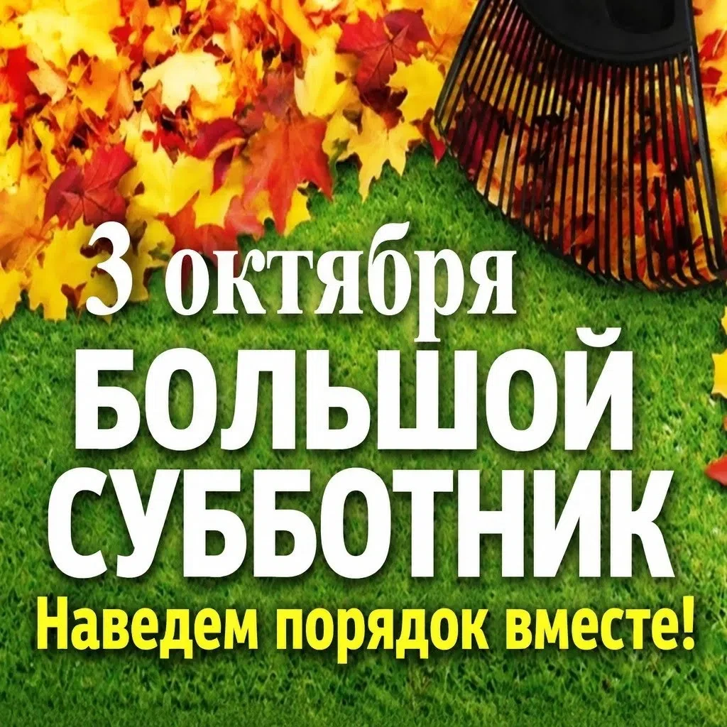 3 октября состоится субботник в Морском!