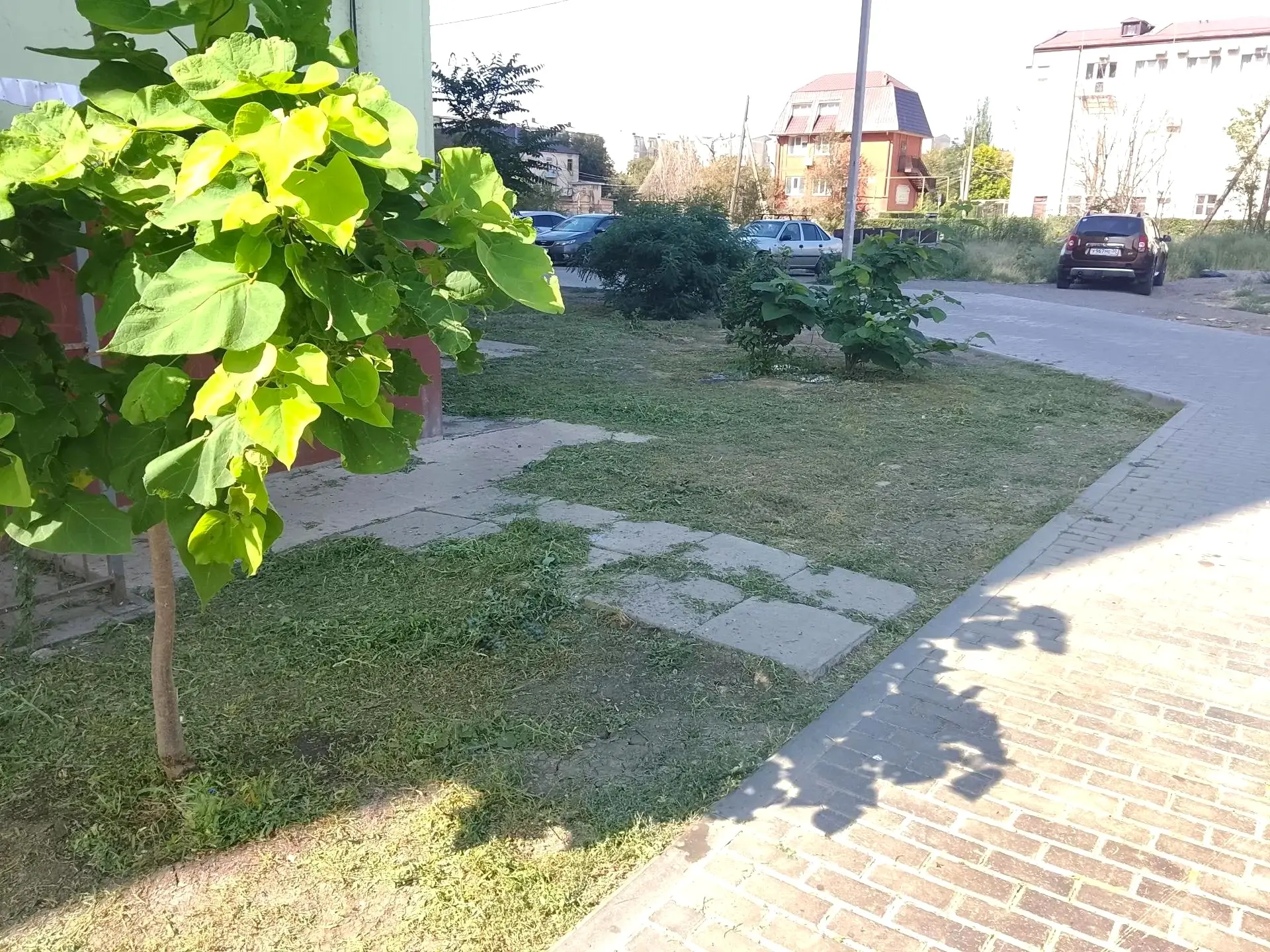 К новости «🌼 Гармония зелени: ухоженный газон»