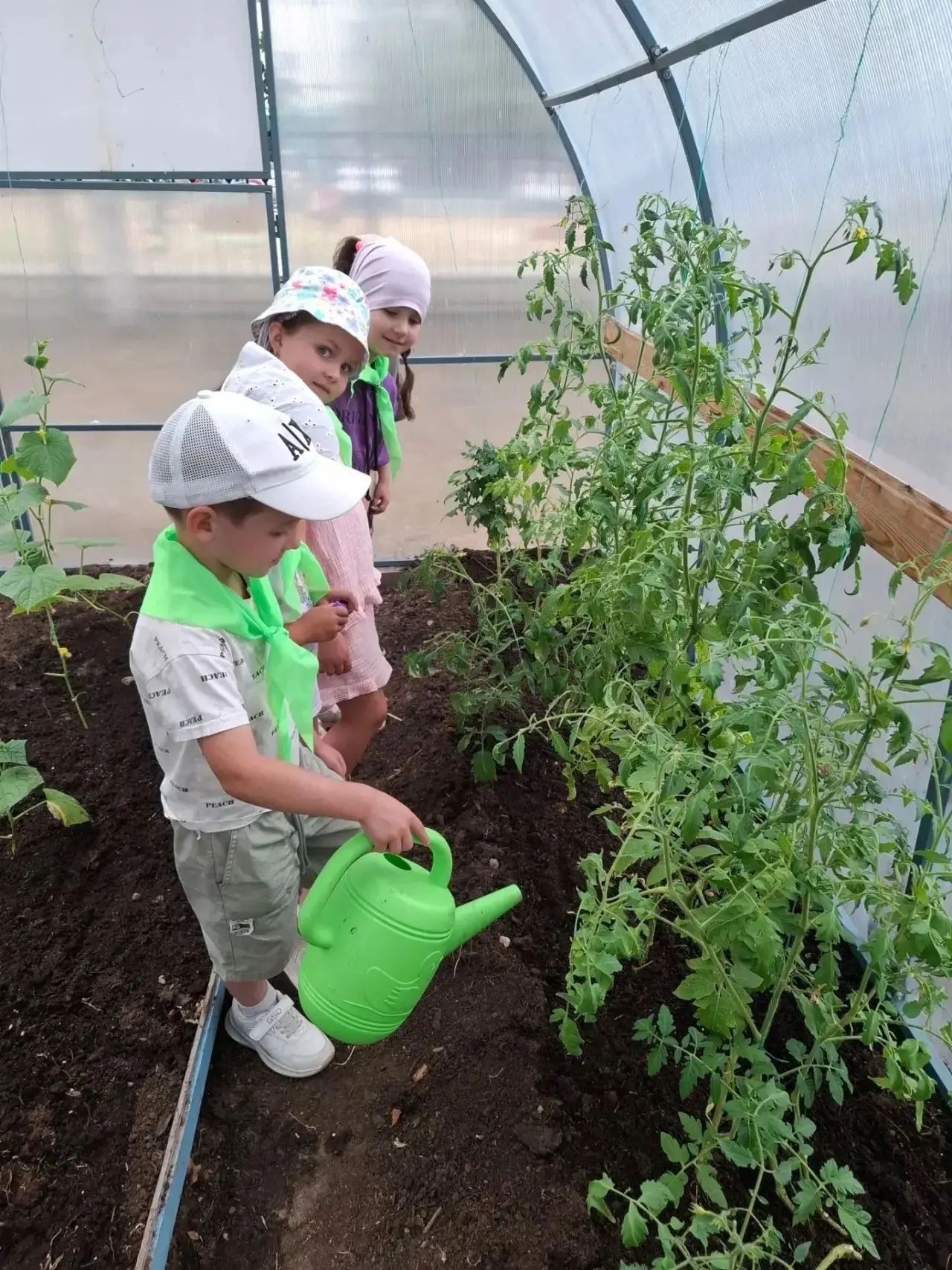🍀🌿Эколята